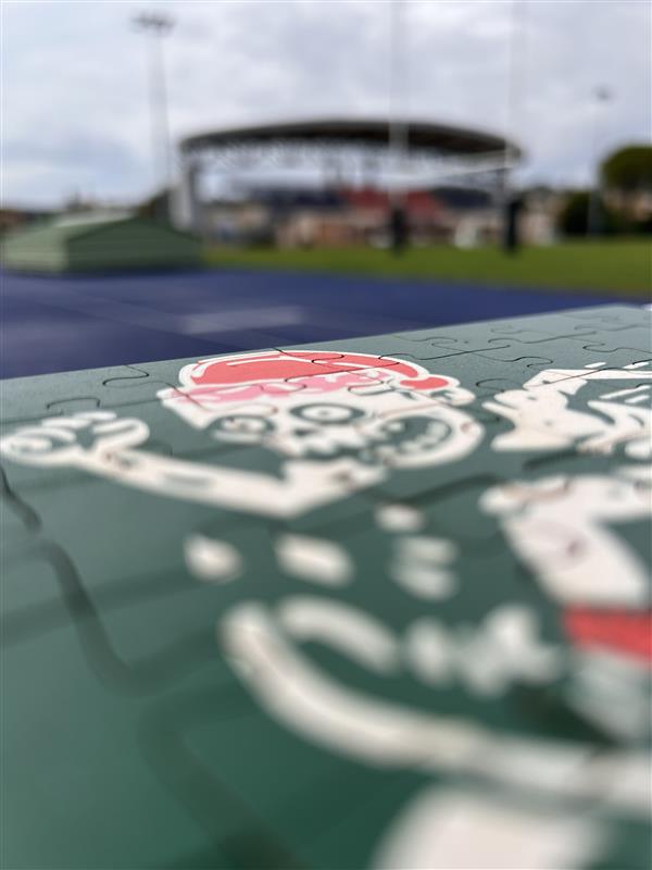 Inscription Stupido Puzzle Run 2025